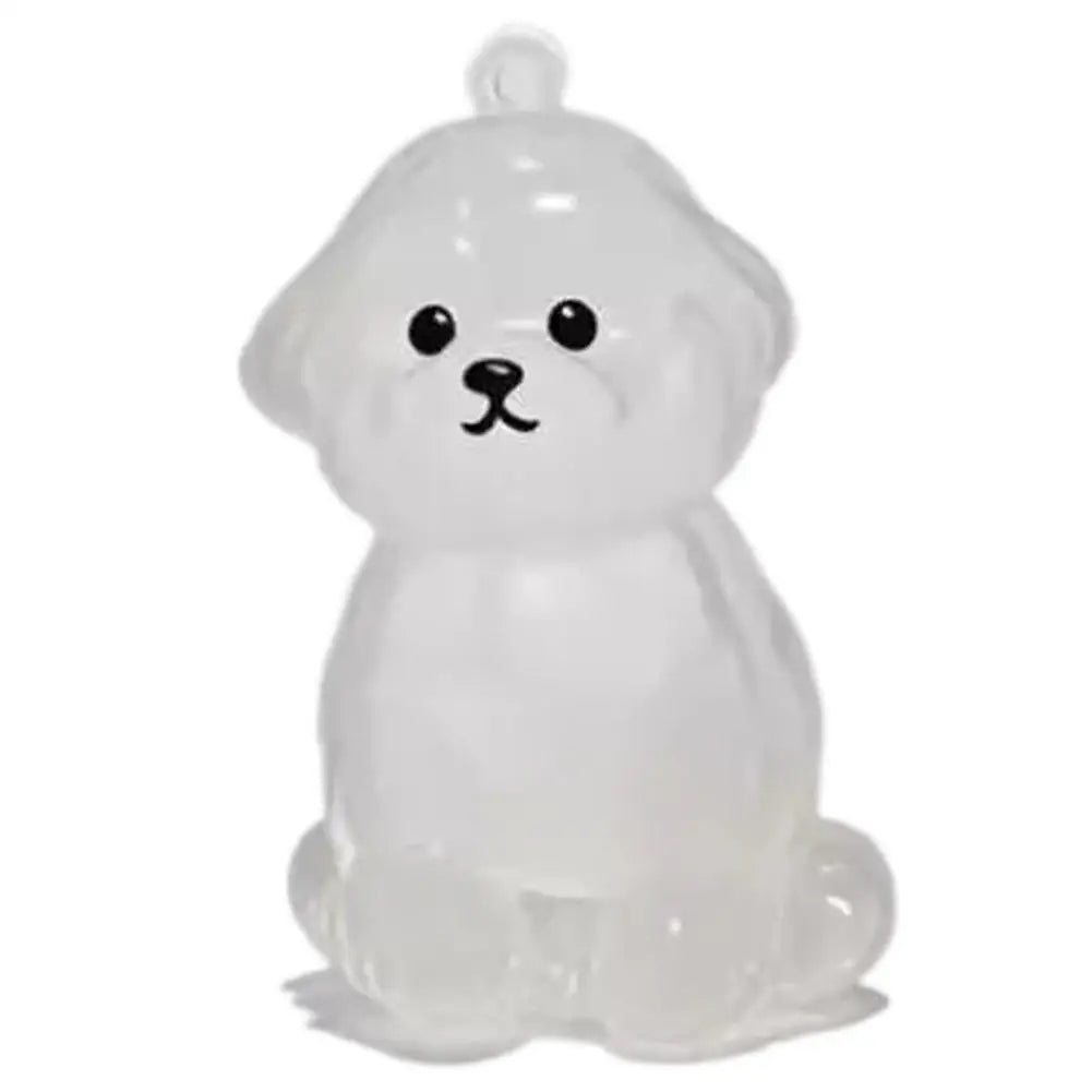 Pet Hair Keepsake Capsule – Memorial Keychain Bottle for Dog & Cat Fur | Transparent DIY Storage Pendant"