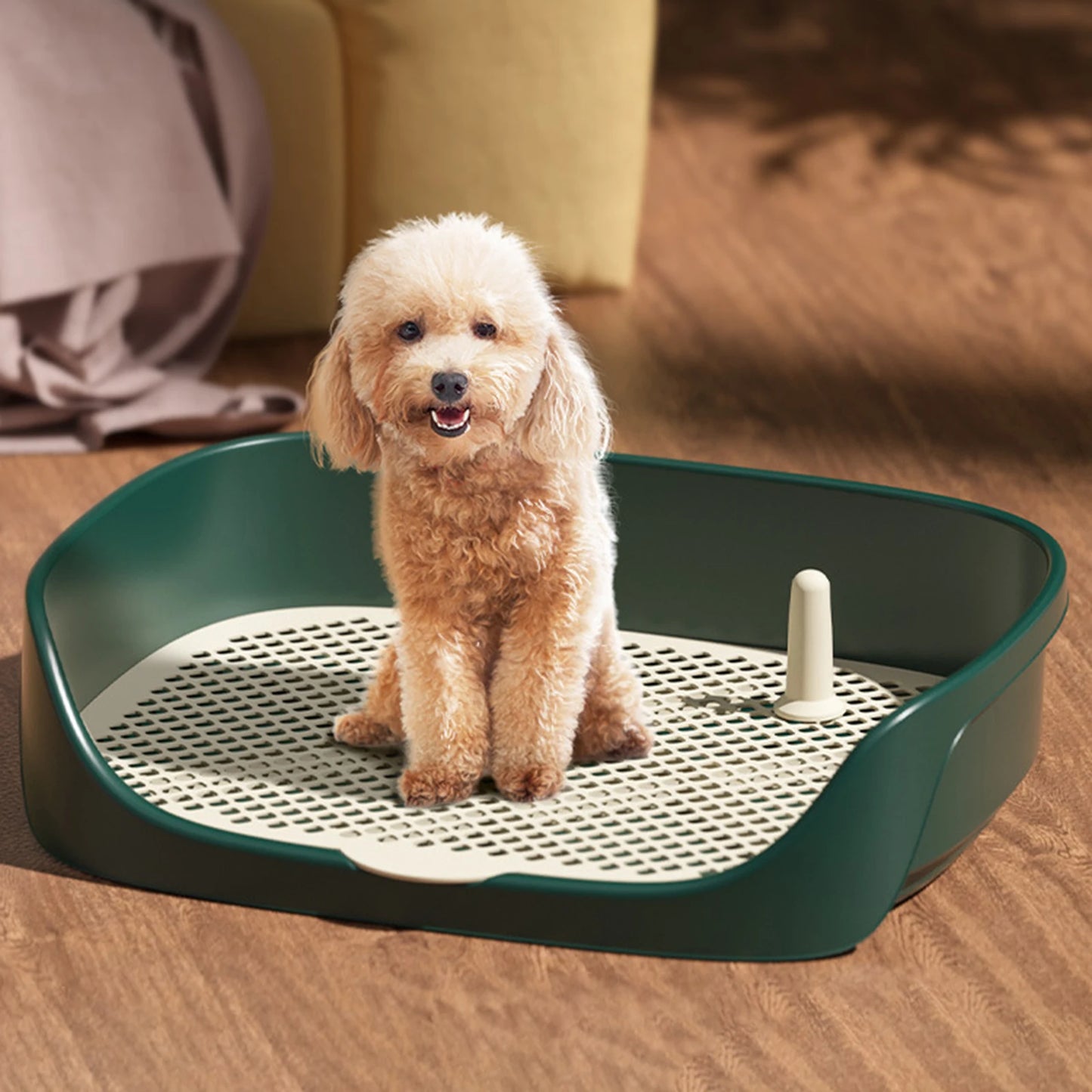 "Portable Indoor Dog Toilet β Anti-Splash Potty Training Tray for Puppies & Small Dogs"