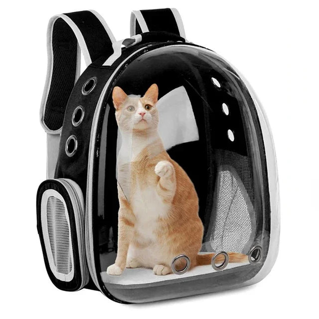 "Transparent Cat Carrier Backpack – Breathable Space Capsule Pet Travel Bag for Cats & Puppies"