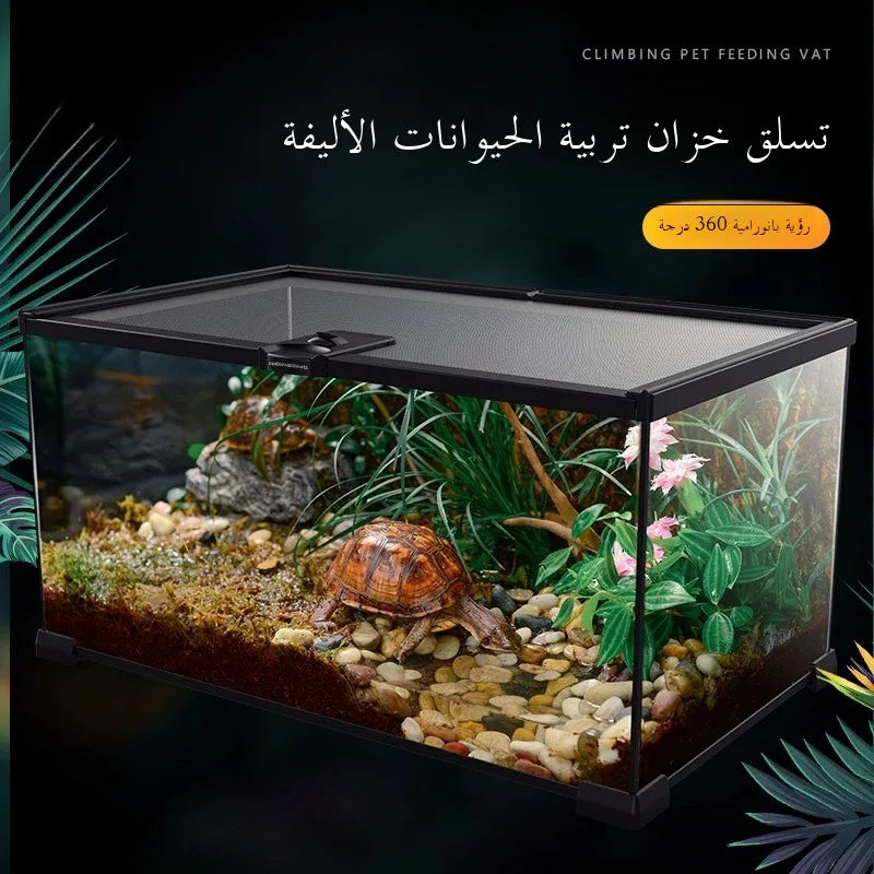 Eco Rainforest Glass Terrarium β Ideal for Lizards, Frogs, Crabs & Spiders