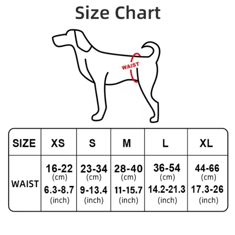 “Reusable Dog Diaper Pants with Disposable Poop Bags – Portable & Washable for Outdoor Walks”