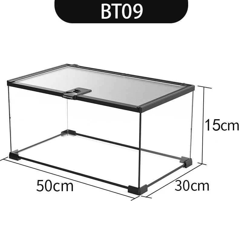 Eco Rainforest Glass Terrarium β Ideal for Lizards, Frogs, Crabs & Spiders