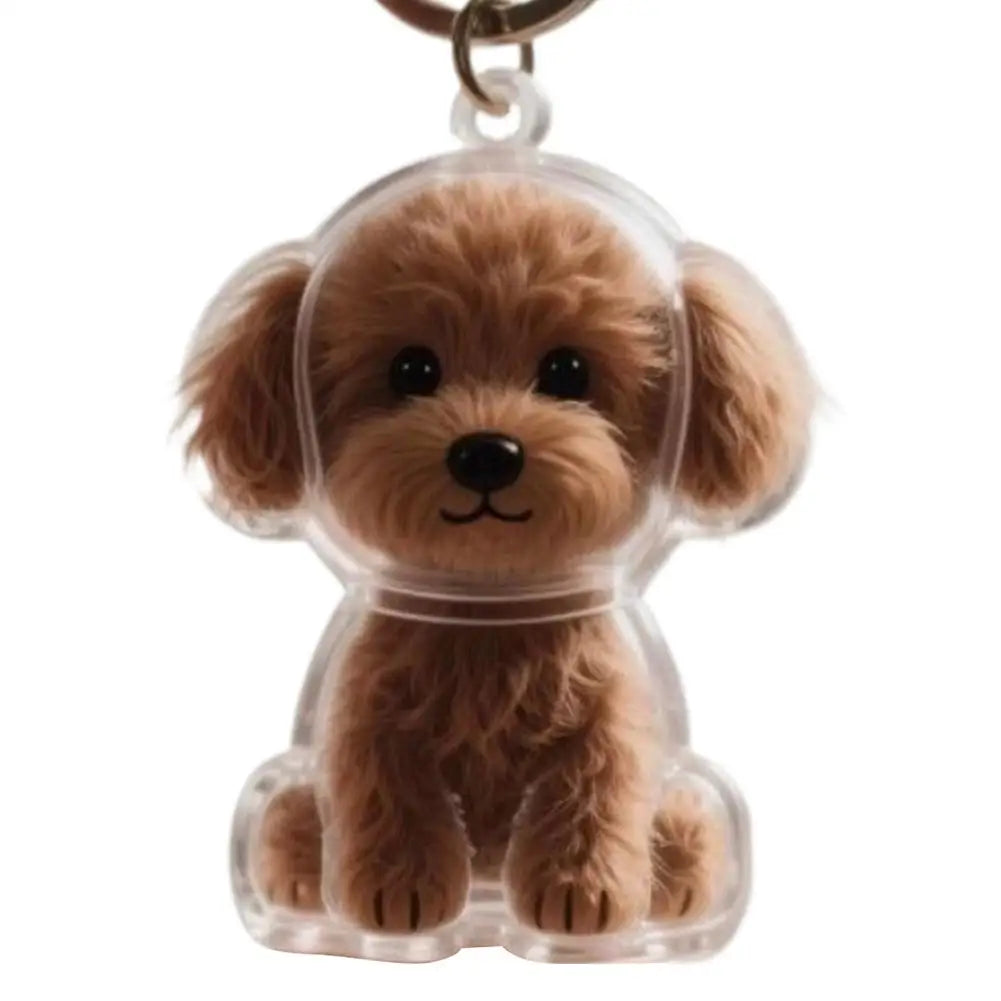 Pet Hair Keepsake Capsule – Memorial Keychain Bottle for Dog & Cat Fur | Transparent DIY Storage Pendant"
