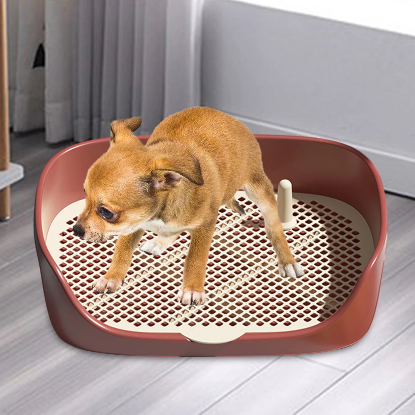 "Portable Indoor Dog Toilet β Anti-Splash Potty Training Tray for Puppies & Small Dogs"