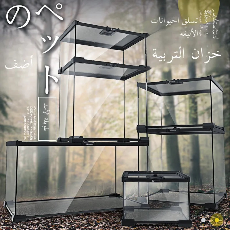 Eco Rainforest Glass Terrarium β Ideal for Lizards, Frogs, Crabs & Spiders
