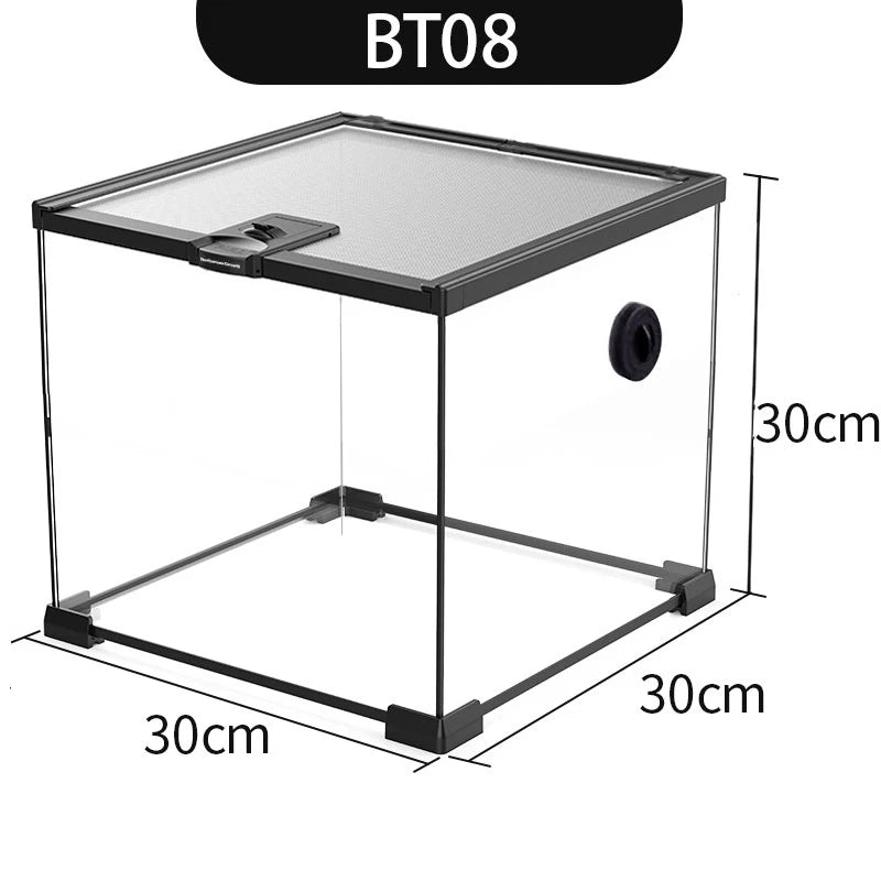 Eco Rainforest Glass Terrarium β Ideal for Lizards, Frogs, Crabs & Spiders