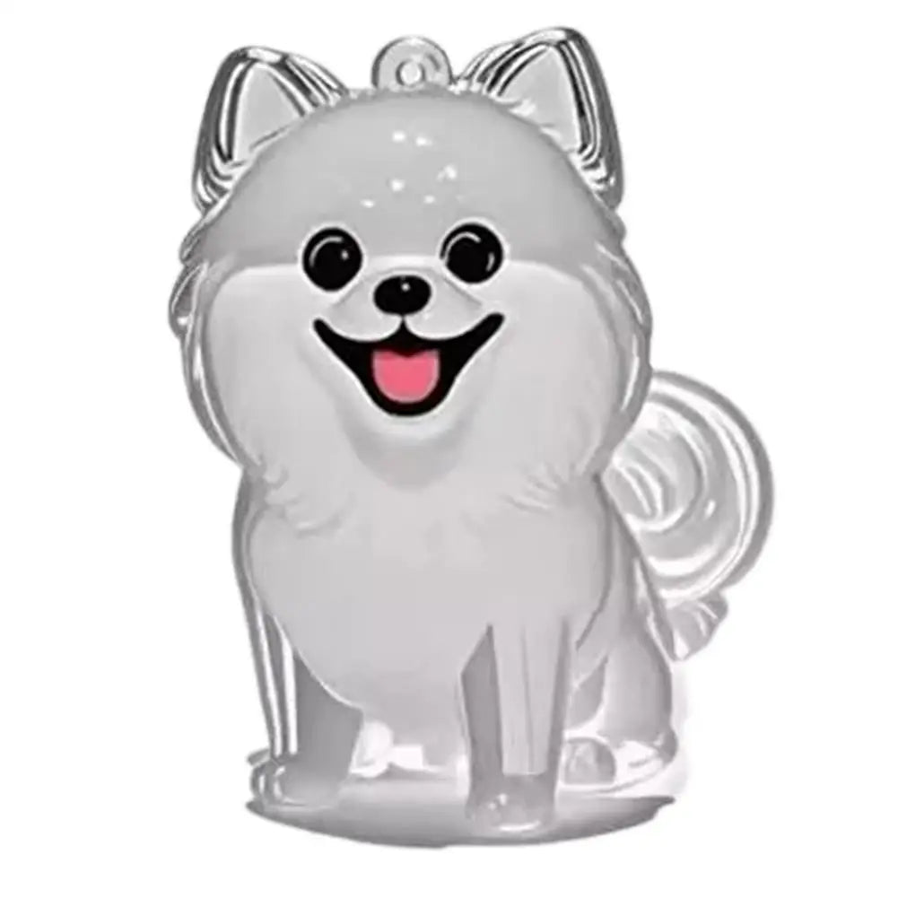 Pet Hair Keepsake Capsule – Memorial Keychain Bottle for Dog & Cat Fur | Transparent DIY Storage Pendant"