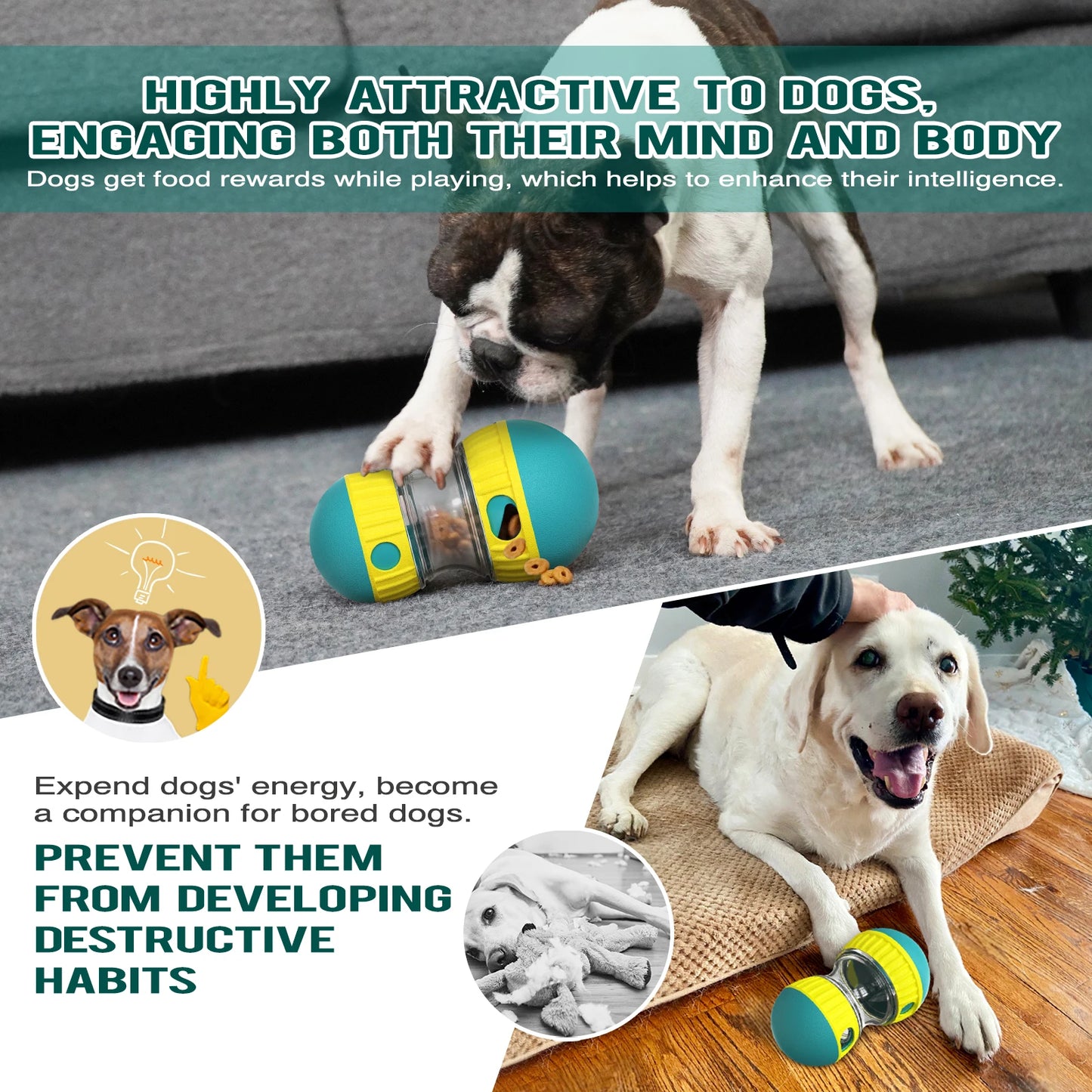 Interactive Dog Treat Dispenser Toy β Slow Feeder for Small & Medium Dogs | Indoor IQ Training Pet Puzzle