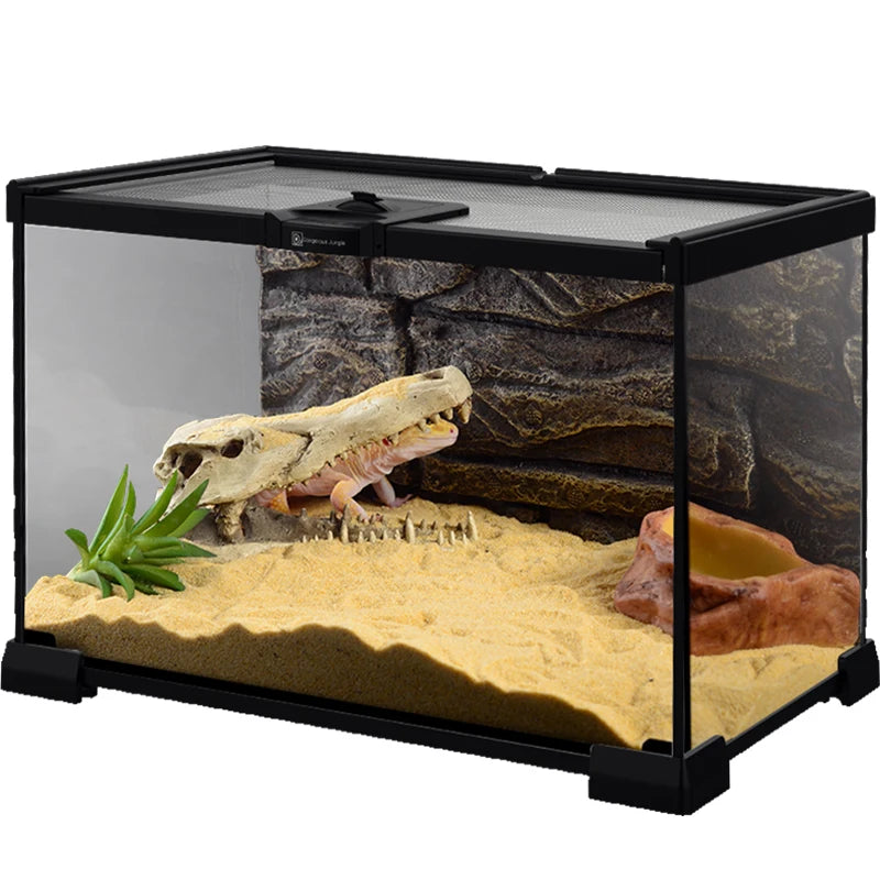 Eco Rainforest Glass Terrarium β Ideal for Lizards, Frogs, Crabs & Spiders
