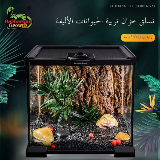 Eco Rainforest Glass Terrarium – Ideal for Lizards, Frogs, Crabs & Spiders
