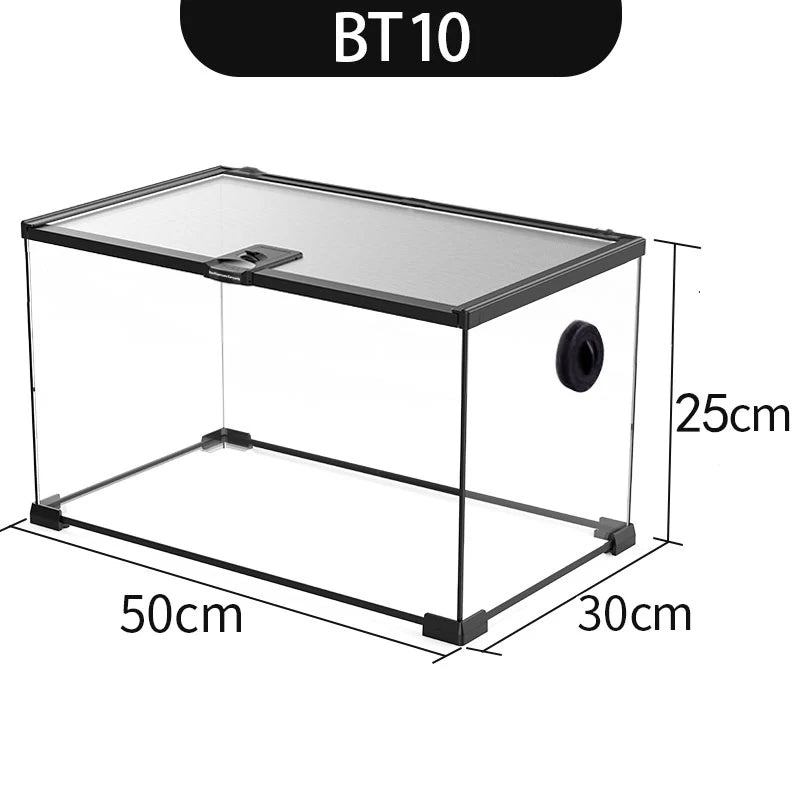 Eco Rainforest Glass Terrarium – Ideal for Lizards, Frogs, Crabs & Spiders